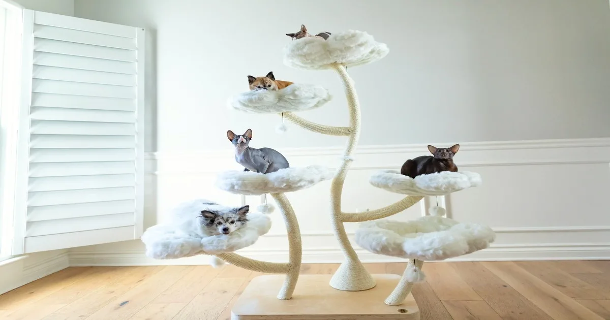 Minimalist Meets Playful: Styling Your Home with a Flower Cat Tree