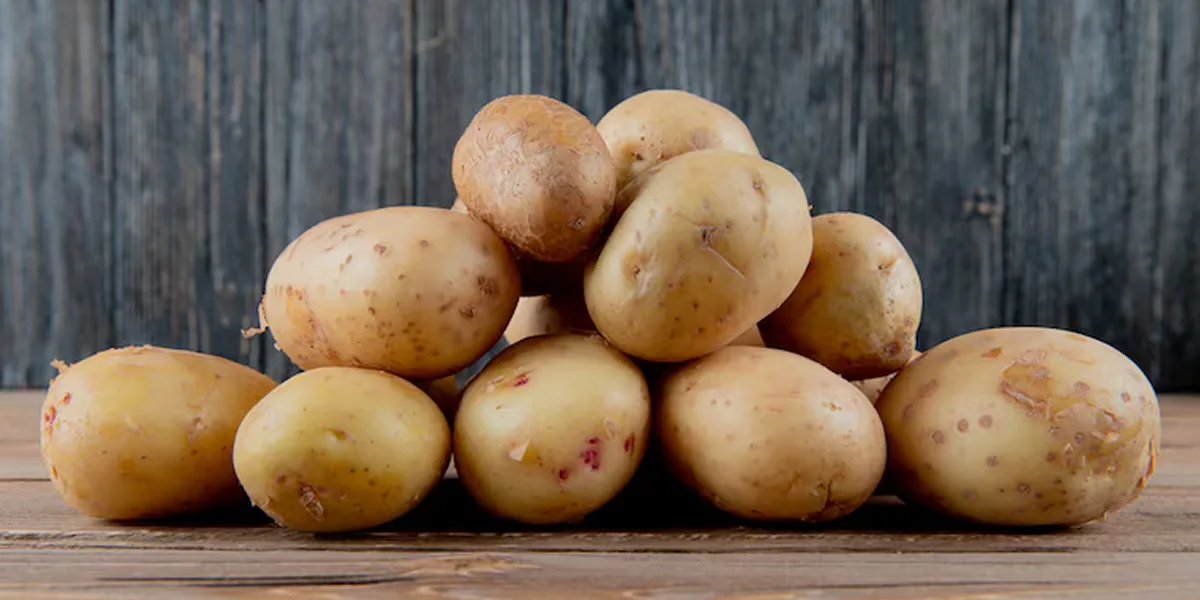 How Potato Exporters Maintain Quality Across Global Supply Chains