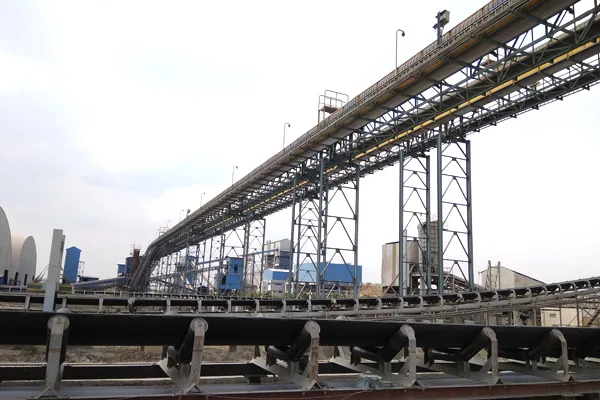 Compare different types of conveyor belts suitable for the cement industry