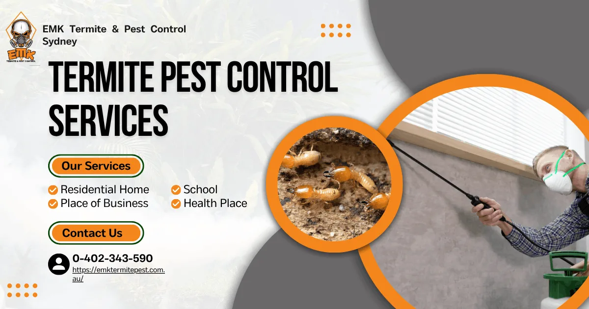 How Sydney’s Climate Increases Termite Risk
