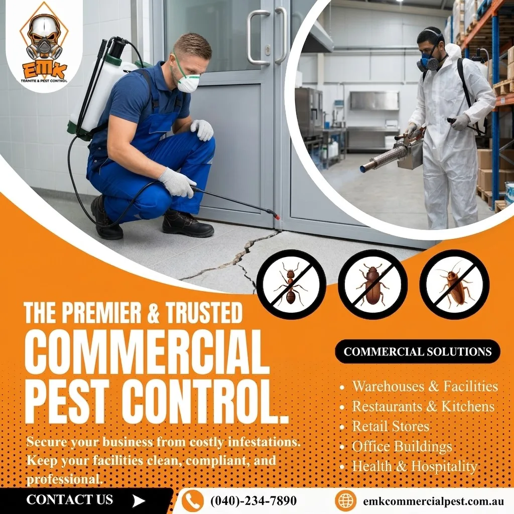 Commercial Pest Control Sydney: A Guide for Restaurants and Cafés – What Tenants Need to Know
