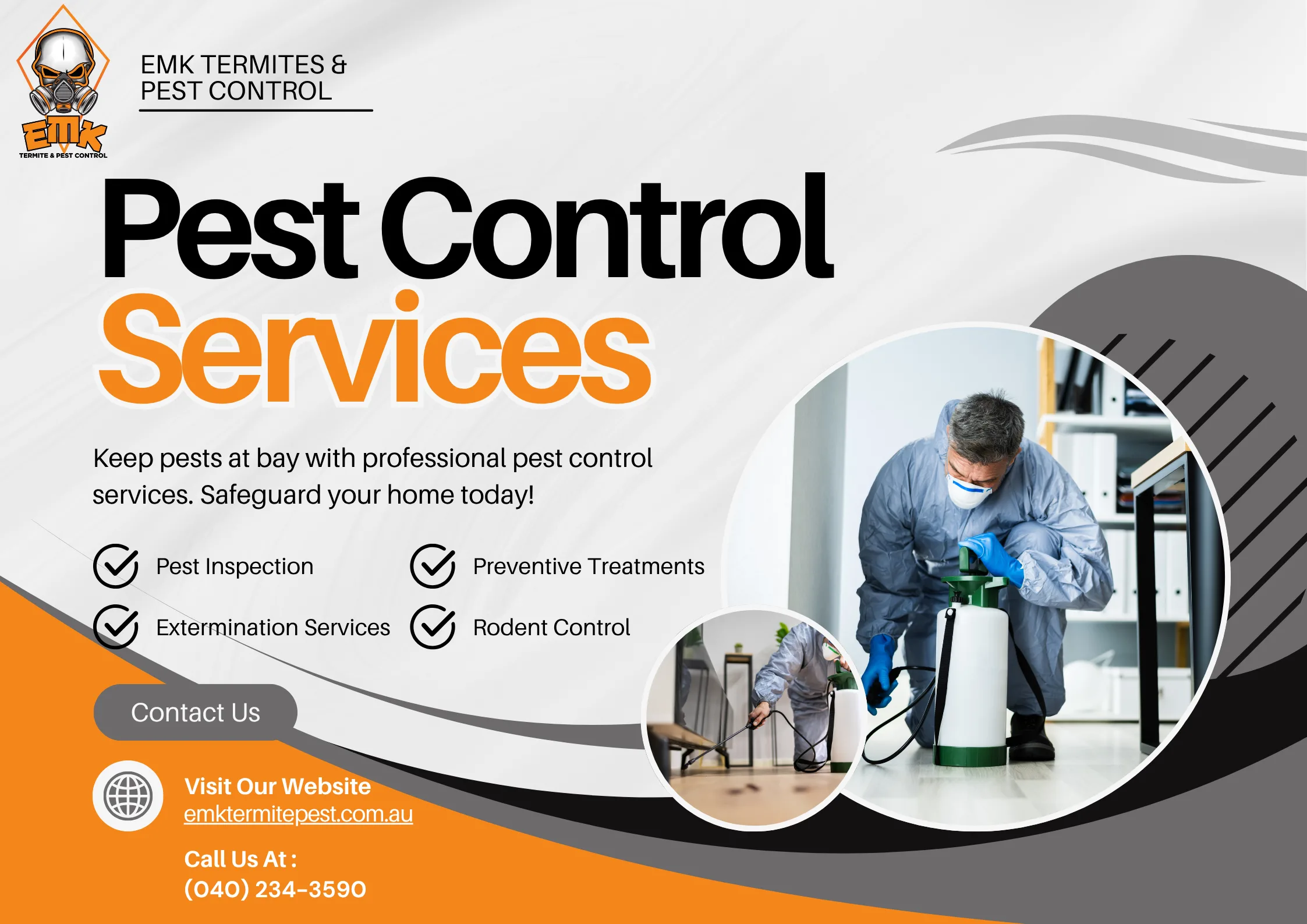 How Carpenter Ants Destroy Wooden Structures (And How to Prevent It)