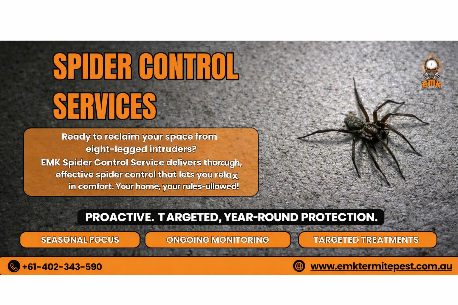 Why Spiders Enter Sydney Homes During Summer