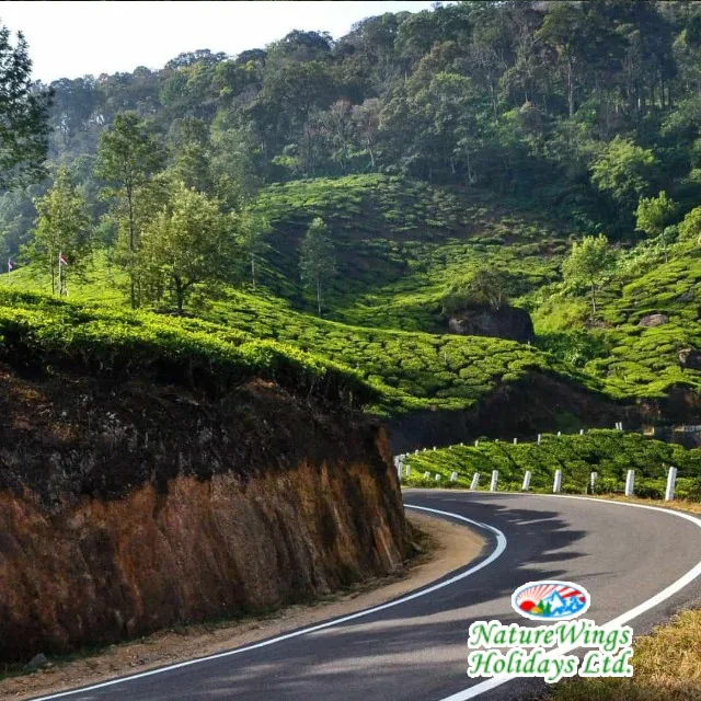 Kerala Package Tour with Customized Itineraries and Comfortable Stays