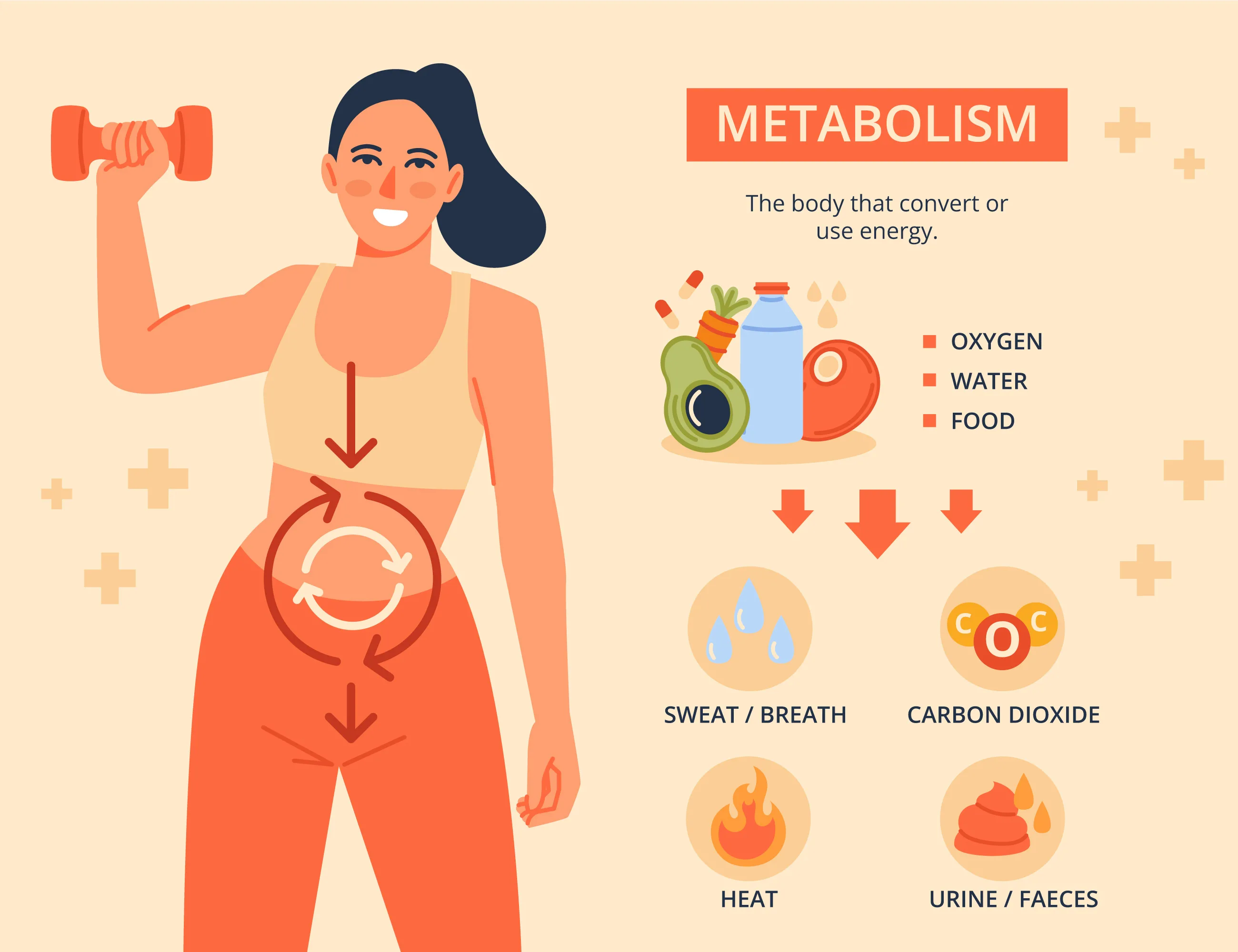 How to Reset Metabolism After 40 and Why It is Needed?