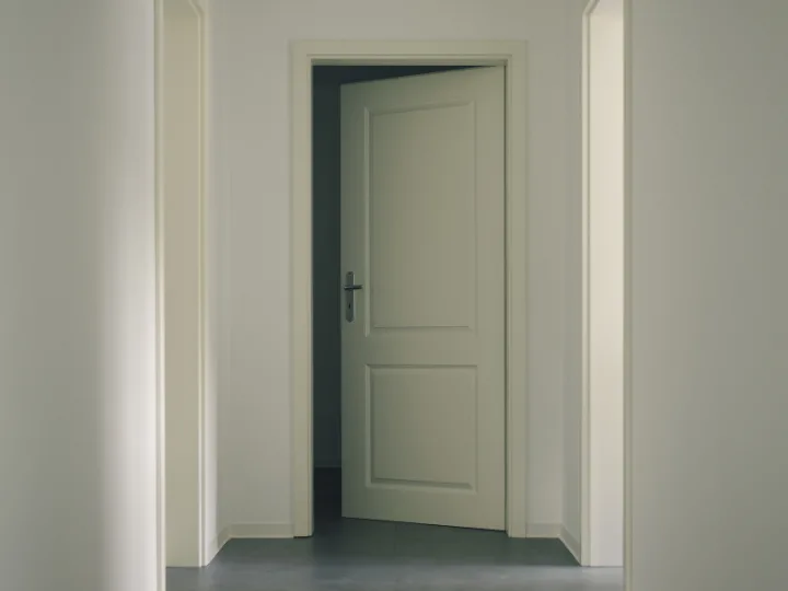 The Complete Guide to Choosing a DECO 10S Timber Door