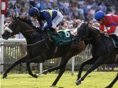 Bangalore Turf Club: How Race Fixtures Shape a Season