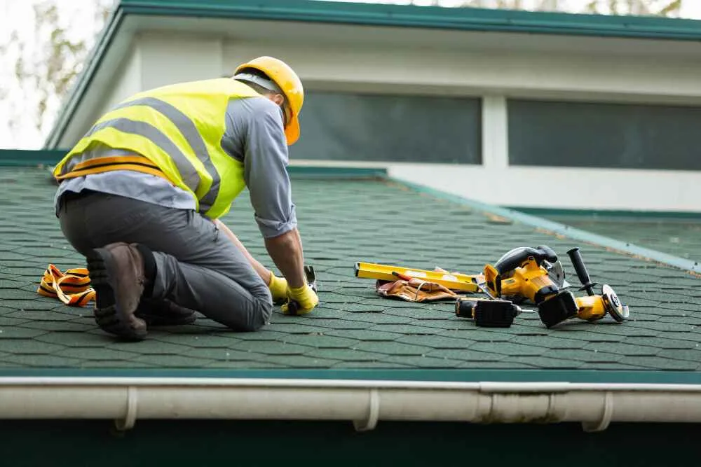 Why Proactive Roof Maintenance Pays Off for Homeowners Year-Round