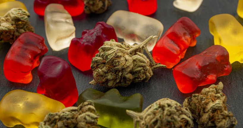 What Cannabis Consumers Should Know Before Using Concentrates in Edibles
