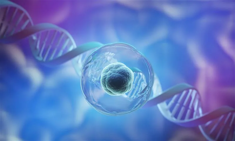 Understanding Stem Cell IV Infusion and Its Role in Modern Wellness