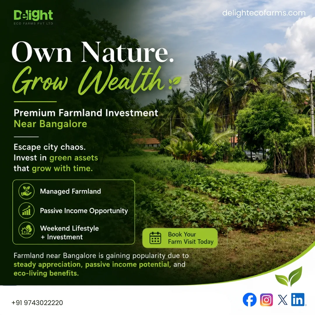 Managed Farmland in Sakleshpur: A Smarter Way to Experience Plantation Living  - Delightecofarms.com