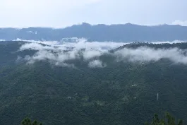 Is Morni Hills Worth Visiting? A Complete Guide to Weather, Activities & Tips