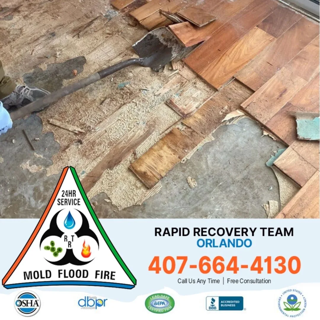 Why Choosing an Emergency Flood Cleanup Company Matters: Trust Rapid Recovery Team Orlando