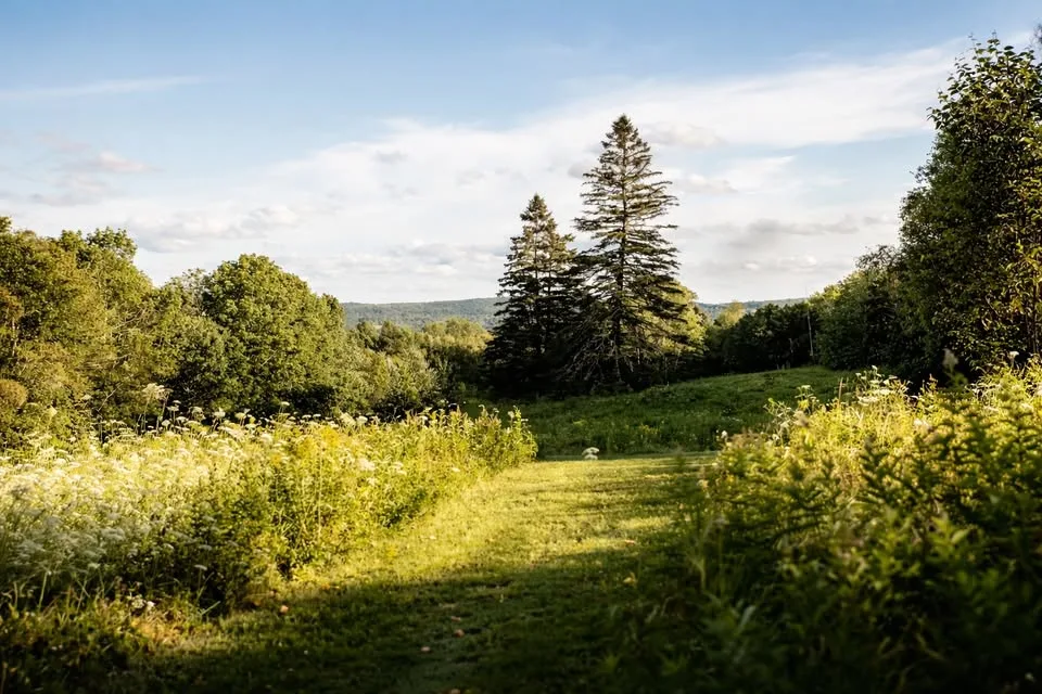 A Mindful Maine Escape Filled With Nature, Food, and Renewal