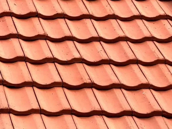Roof Cleaning Services Using Safe & Modern Cleaning Techniques