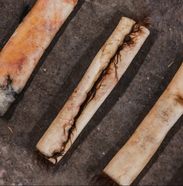 Are Dog Rawhide Rolls Safe? Everything You Must Know