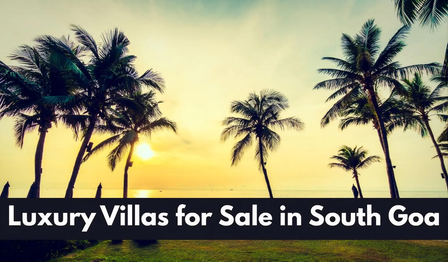 Complete Buyer’s Guide to Luxury Villas for Sale in South Goa