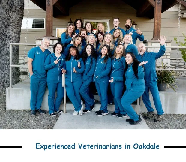 Looking for Trusted Vets in Oakdale, CA? Here’s What Pet Owners Should Know
