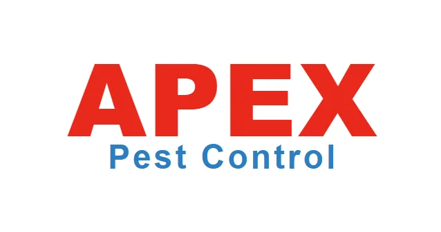 Top 10 Wasp Nest Removal Services in Yorkshire