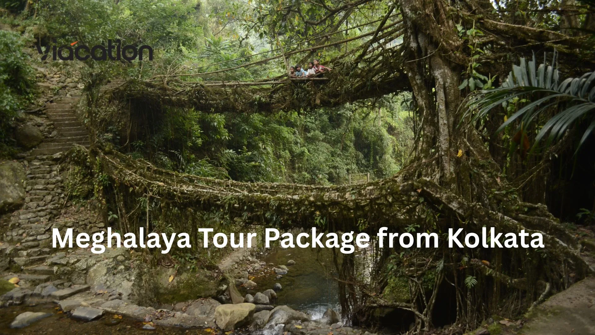 Book Meghalaya Tour Package from Kolkata – Affordable Holiday Deals