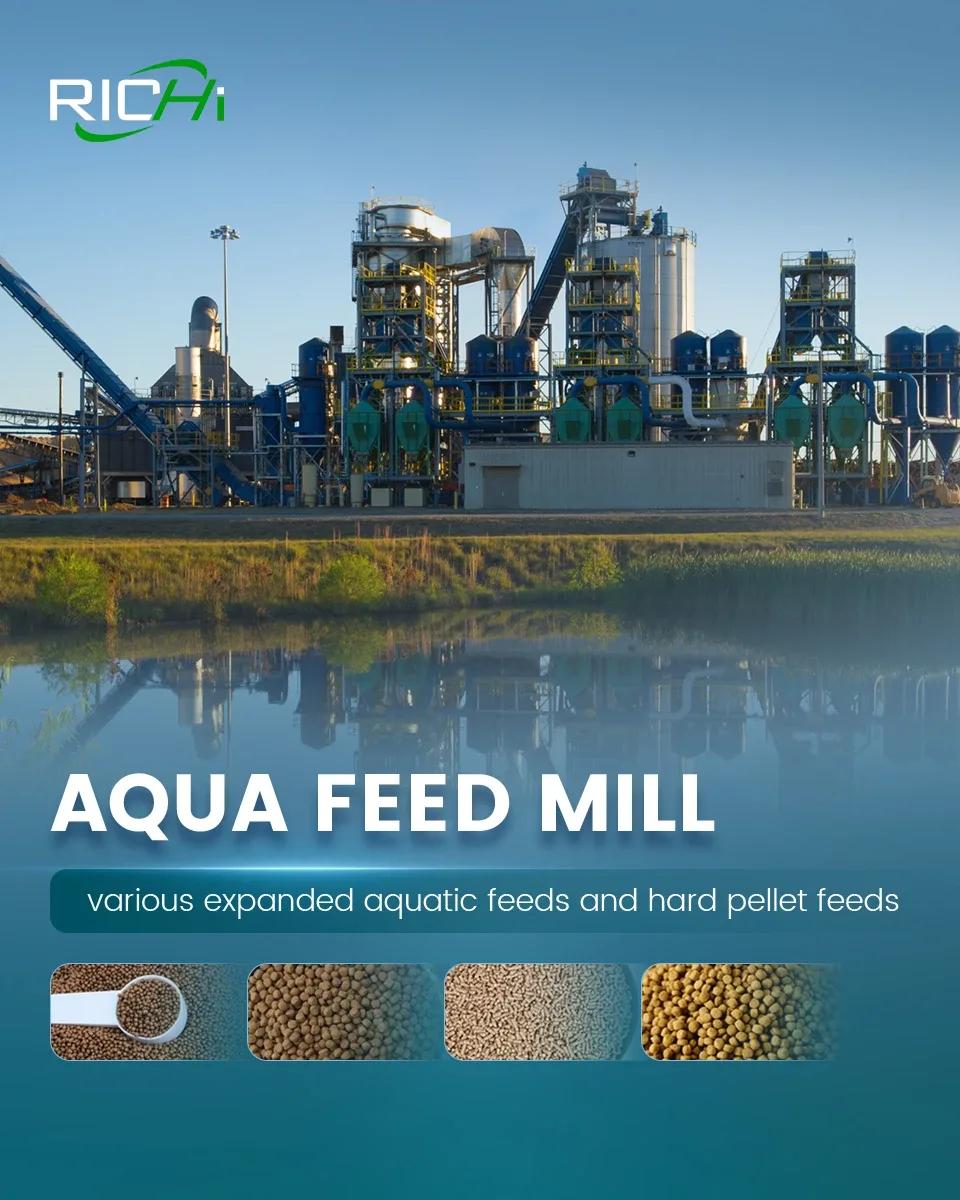 How to Build an Efficient Fish Feed Production Plant for Aquaculture