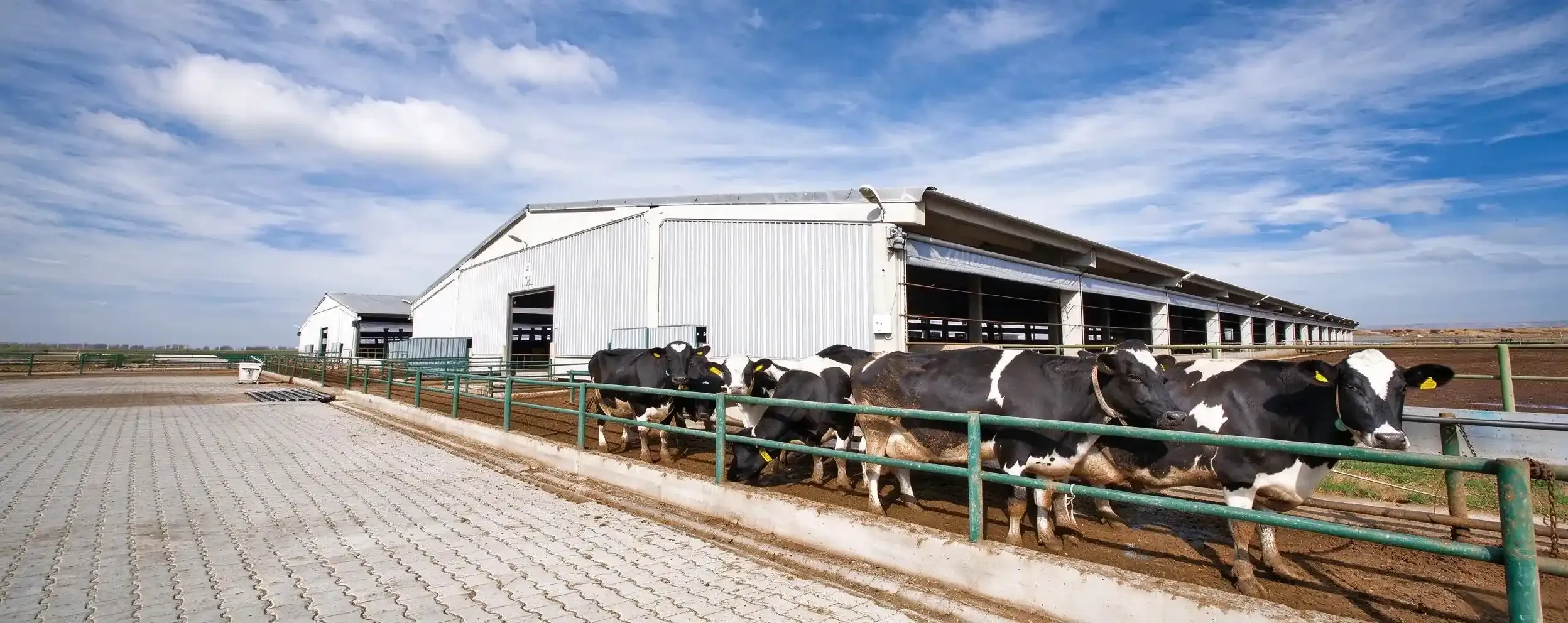 What Ingredients Are Used in Livestock Feed