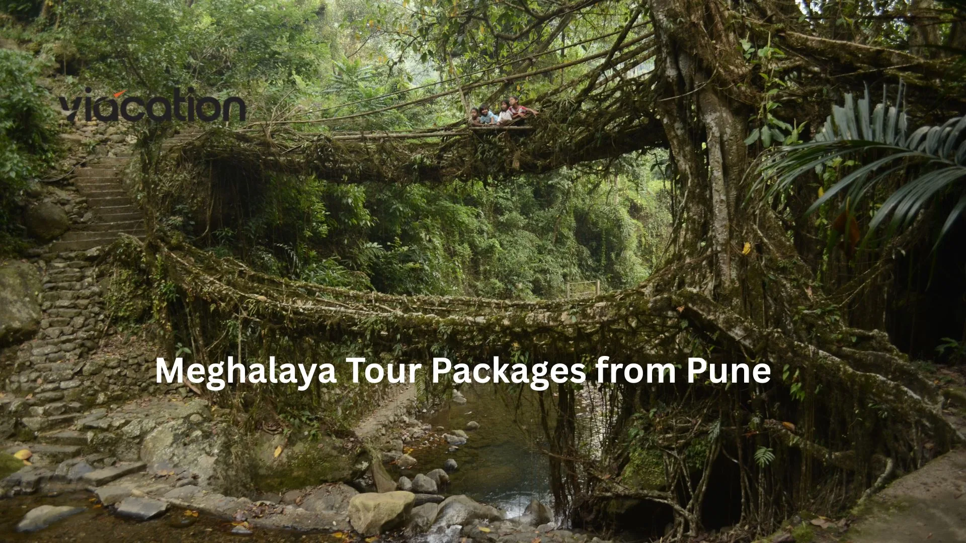 Meghalaya Tour Packages from Pune for Couples & Families – Best Travel Deals