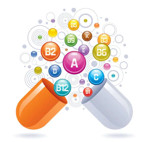Vitamin Ingredients Market Growth and Strategic Outlook 2026-2033