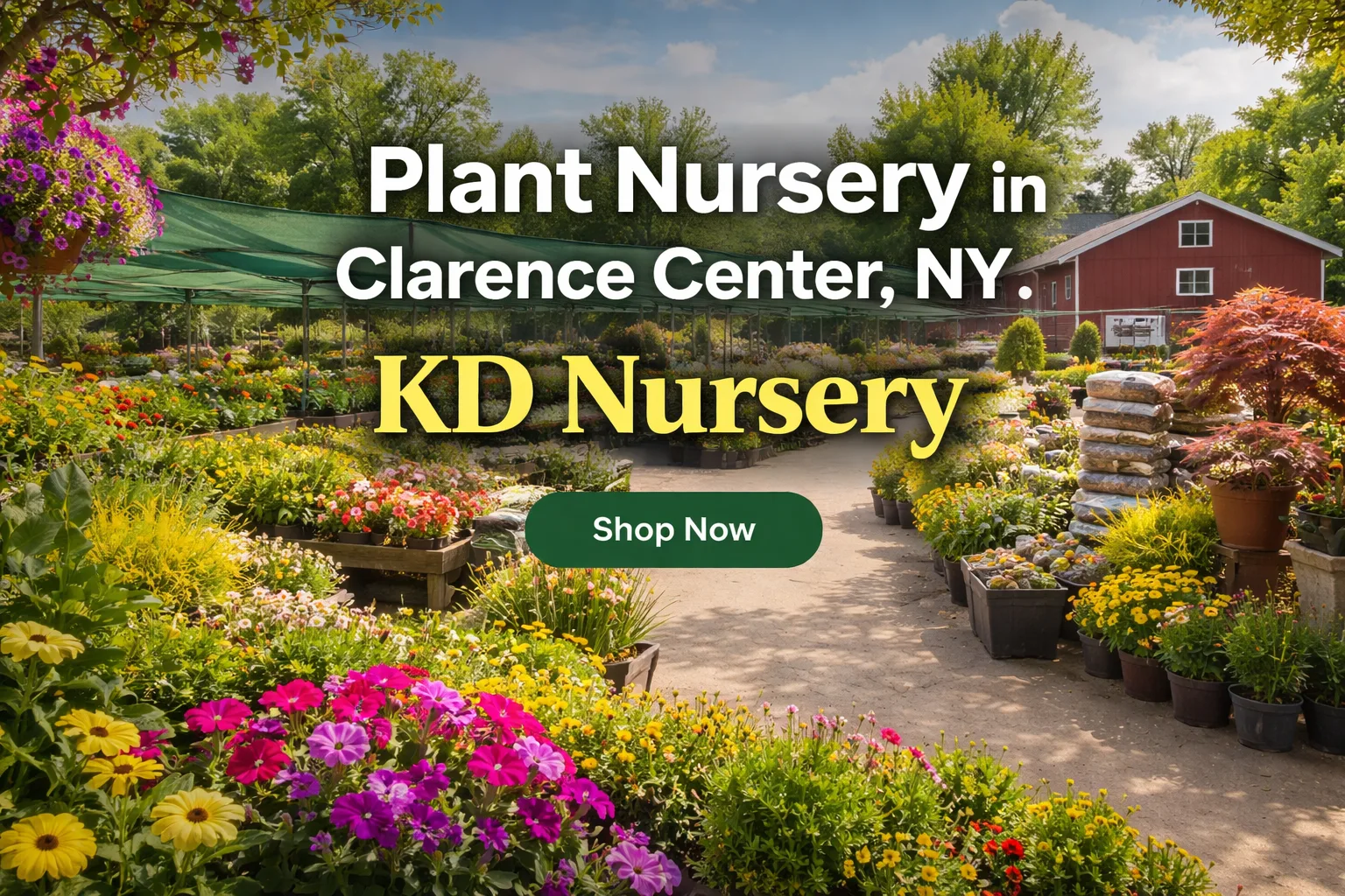 KD Nursery – The Smart Choice for Sustainable Gardening in Clarence Center, NY