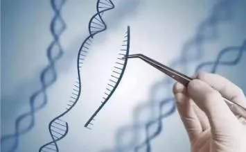 DNA Sequencing: A Complete Guide to Modern Genetic Analysis and Its Applications