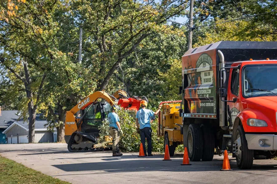 The Complexity of Large Tree Removal in Urban Environments