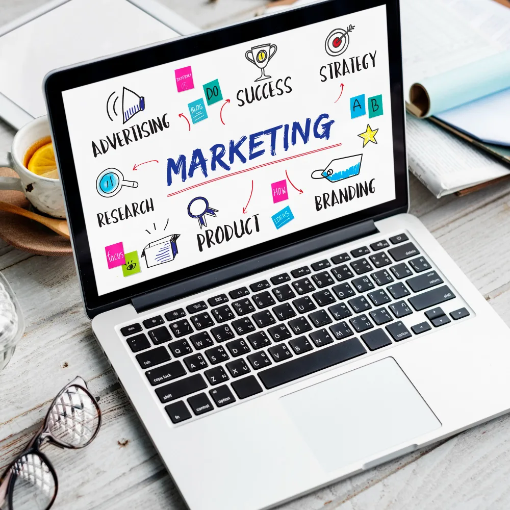 Best SEO Service Providers in India: A Complete Guide for Businesses