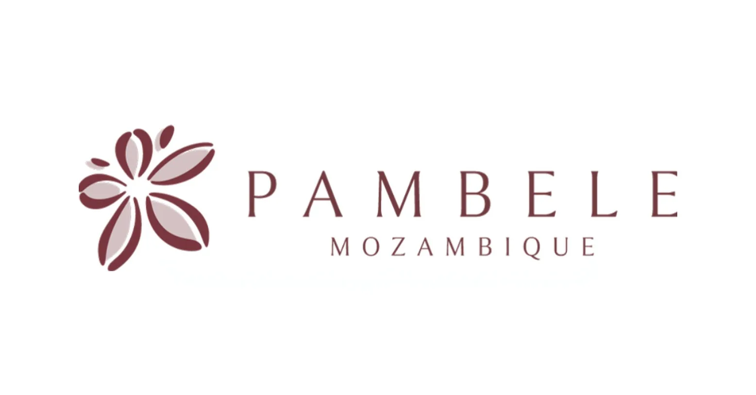 Pambele Turns Every Day Into a Bespoke Coastal Escape in Mozambique