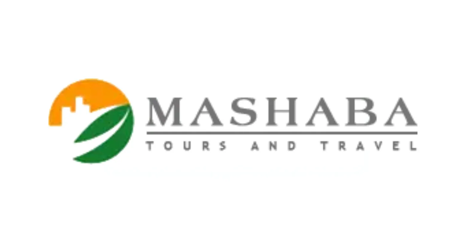 Mashaba Tours Points Spring Visitors to Flexible Half-Day Soweto Trips