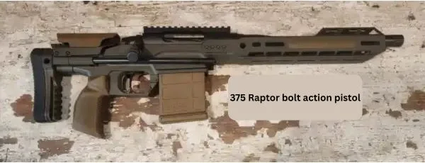 Maximizing Range and Power: Why the 375 Raptor is Changing the Game