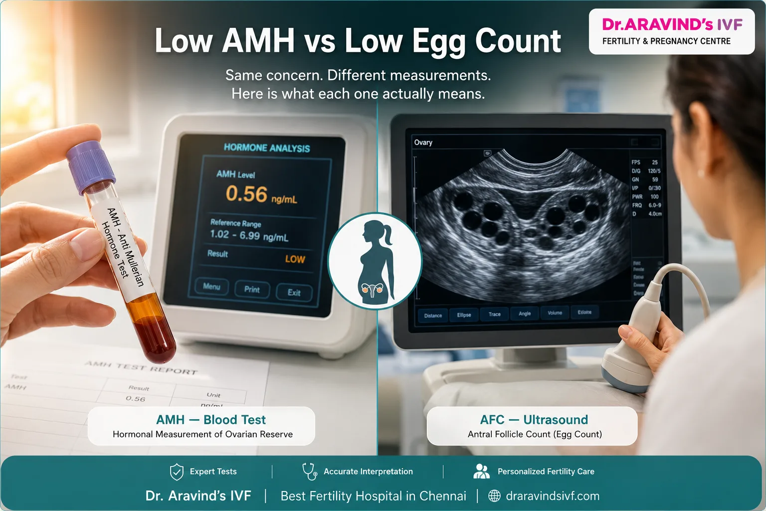Low AMH vs Low Egg Count: What's the Difference?
