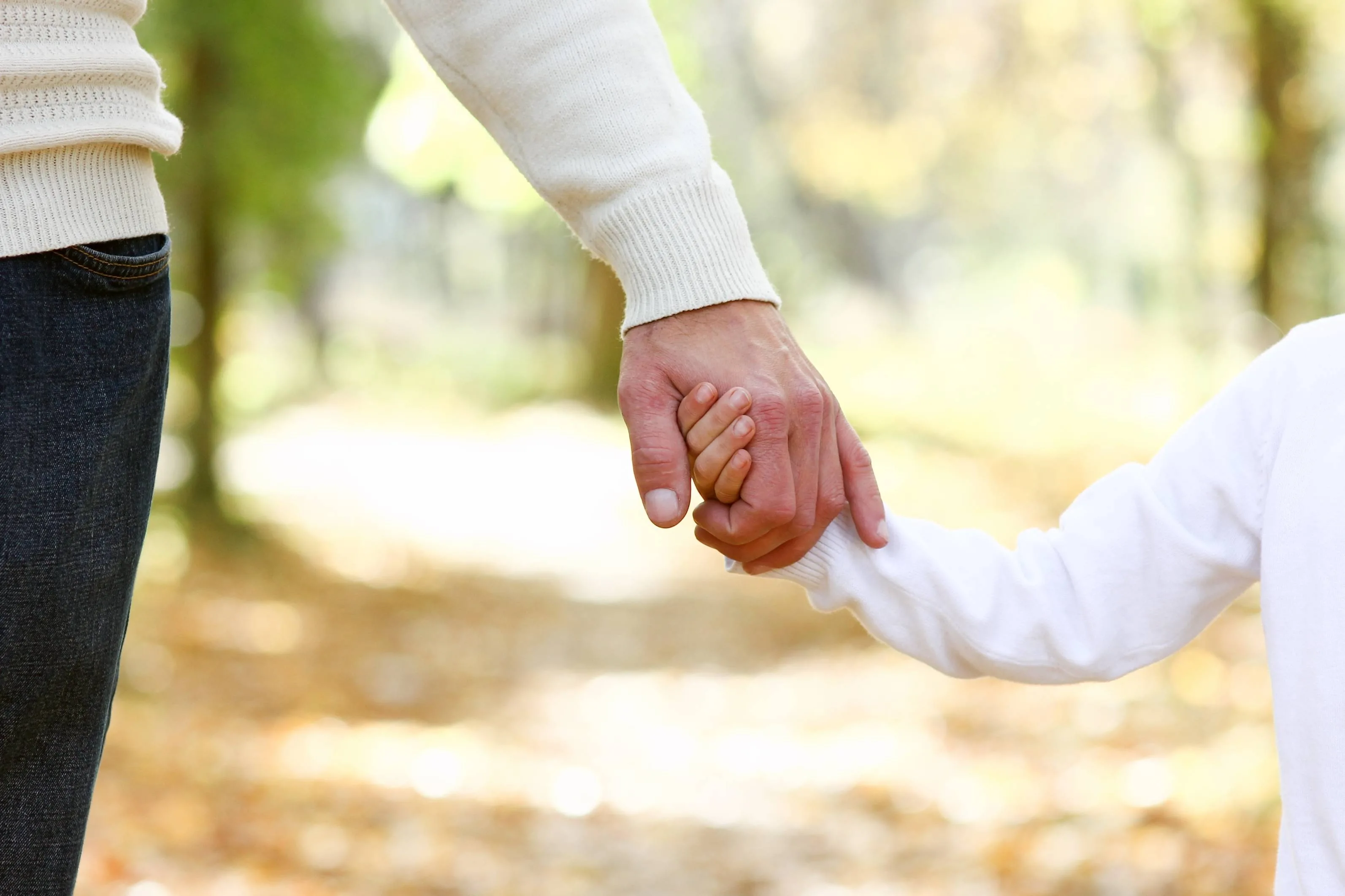Adoption Attorney San Francisco: The Guide You Need Now