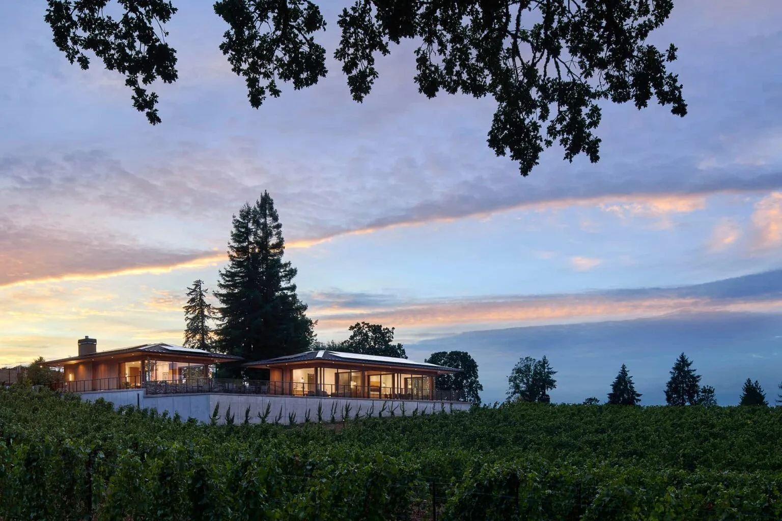 Where to Taste the Best Wine in Willamette Valley