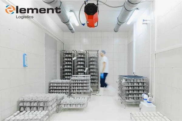 Cold Chain Transportation Singapore: Ensuring Safe and Reliable Temperature-Controlled Deliveries