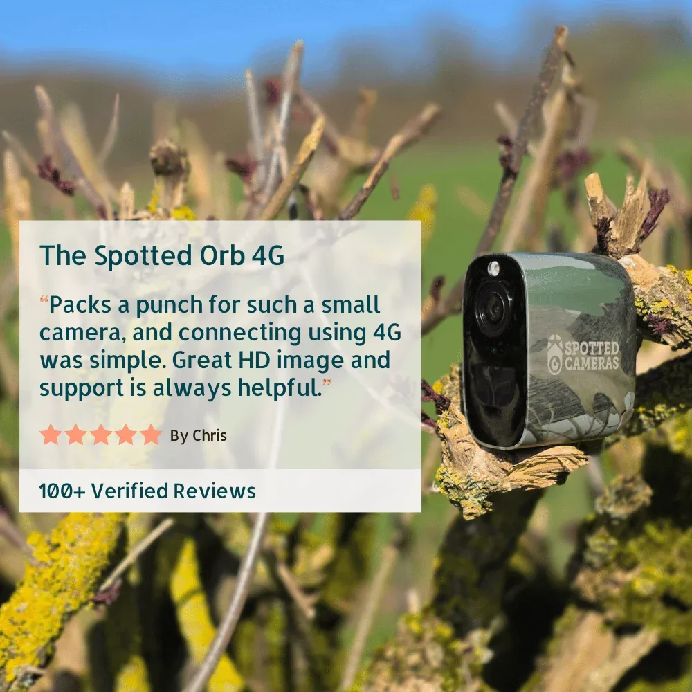 Monitor Your Farm With Farm and Livestock Cameras From Spotted Cameras