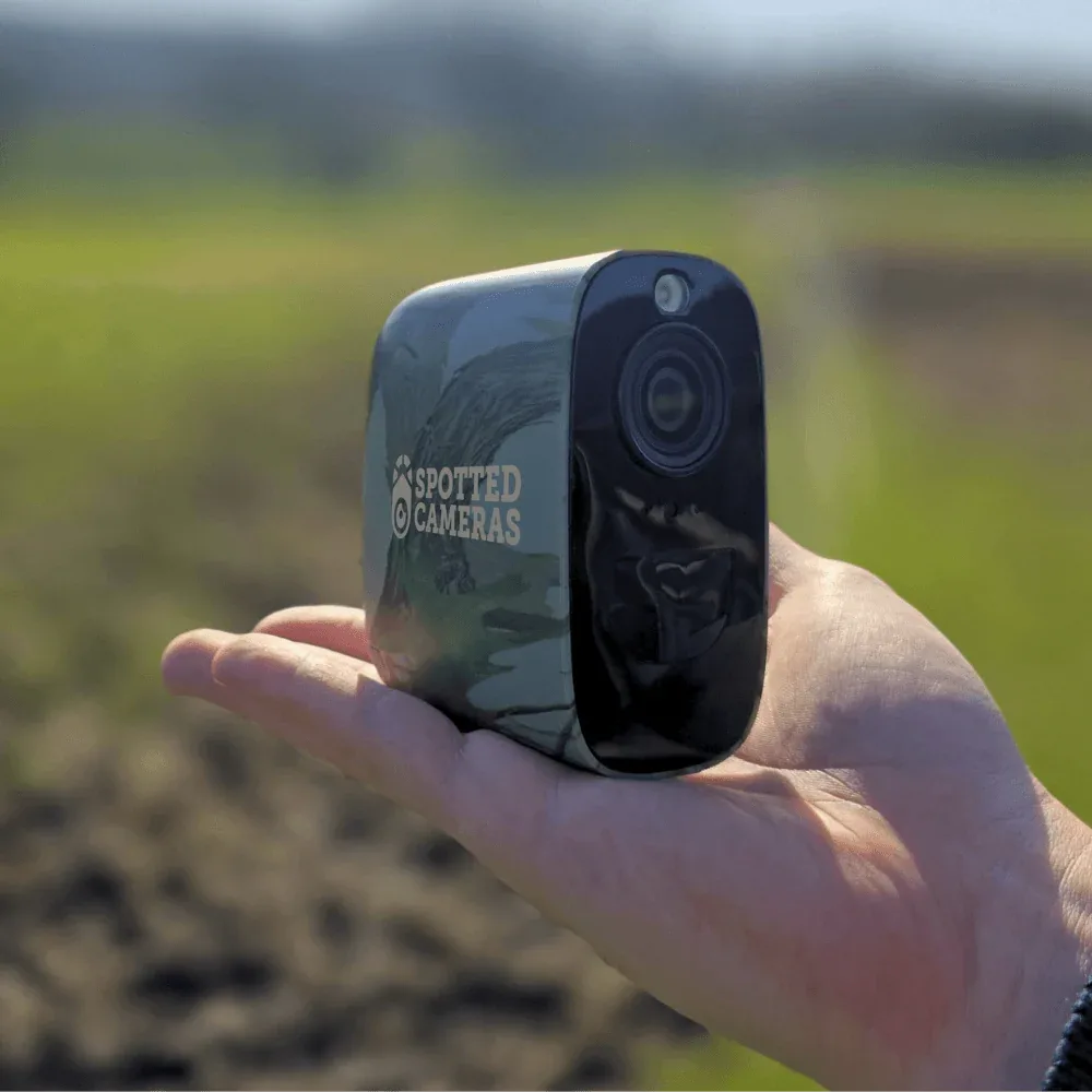 Capture Wildlife in Its Natural Habitat With Spotted Cameras