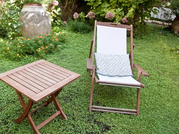 How to Create a Relaxing Backyard Retreat