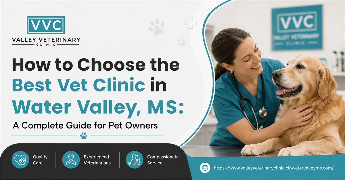 How to Choose the Best Vet Clinic in Water Valley, MS: A Complete Guide for Pet Owners