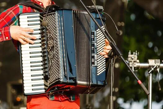 Was einen professionellen Akkordeonspieler ausmacht – Technik, Interpretation und musikalische Persönlichkeit