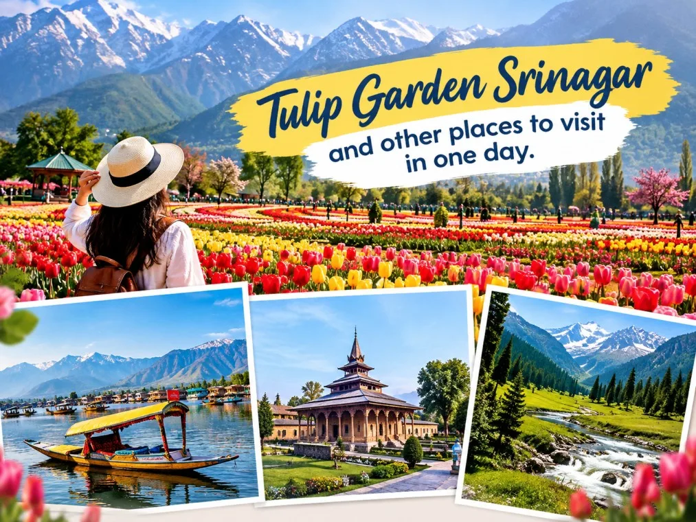 Tulip Garden Srinagar and other places to visit in one day