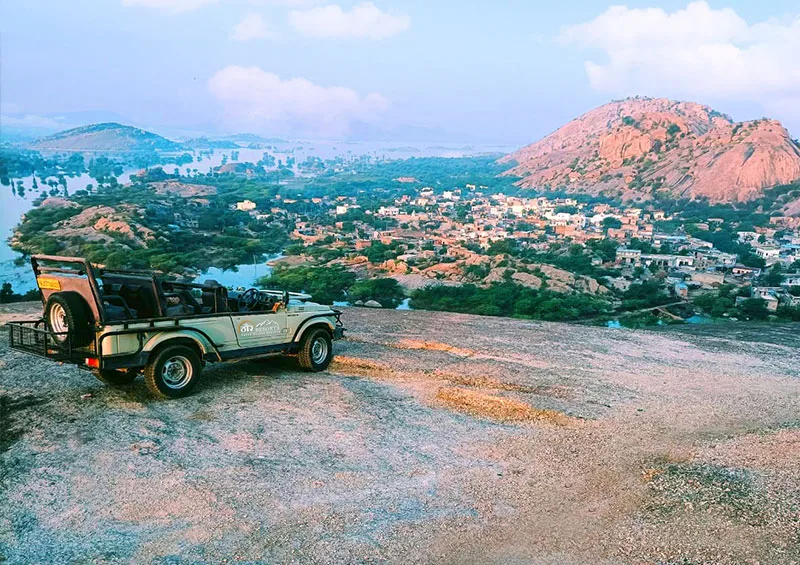 A Complete Guide to Wildlife Safari in Jawai