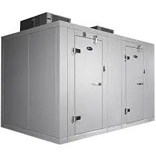 Why a Walk-In Cooler and Freezer Combo Is a Smart Investment for Growing Food Businesses