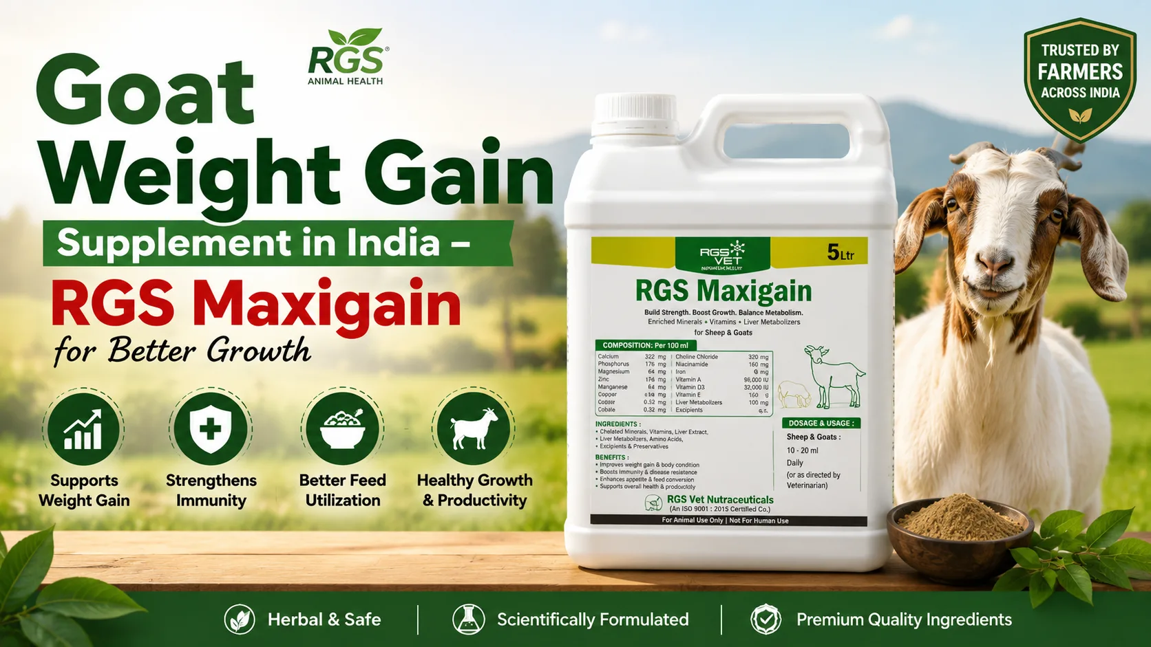 Goat Weight Gain Supplement in India – RGS Maxigain for Better Growth
