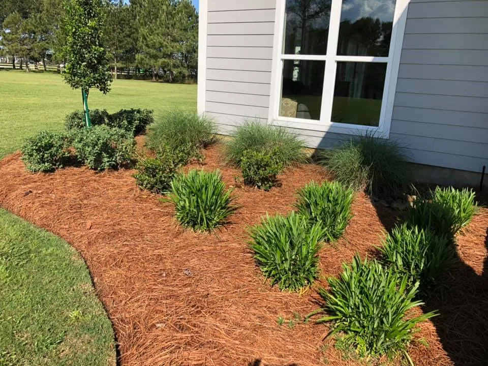 Professional Landscaping Services for Beautiful Outdoor Spaces at Creative Landscapes