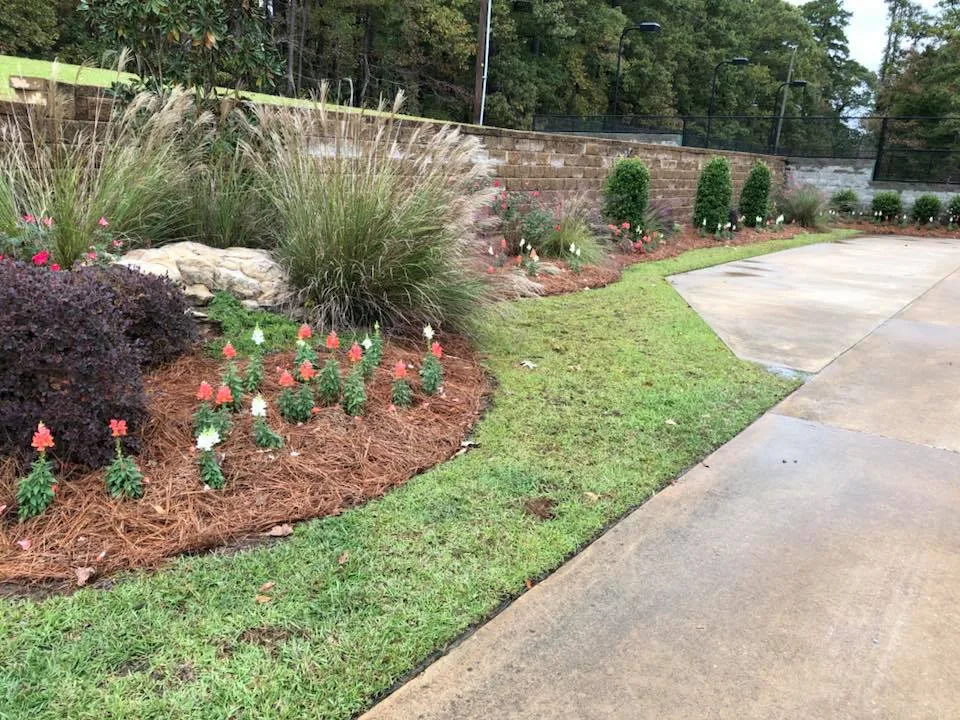 Professional Landscaping Services for Beautiful Outdoor Spaces